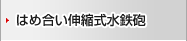 �͂ߍ����L�k�����S�C